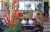 Cabana Grand View Resort 